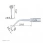 Preview: E11D Endo Spitze technische Abmessung