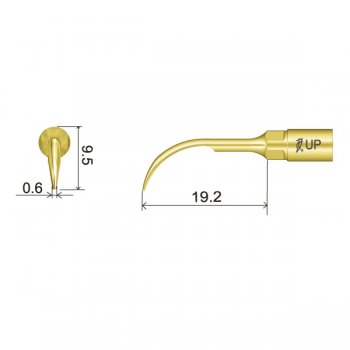 UP1 Perio Spitze technische Abmessung