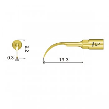 UP2 Perio Spitze technische Abmessung