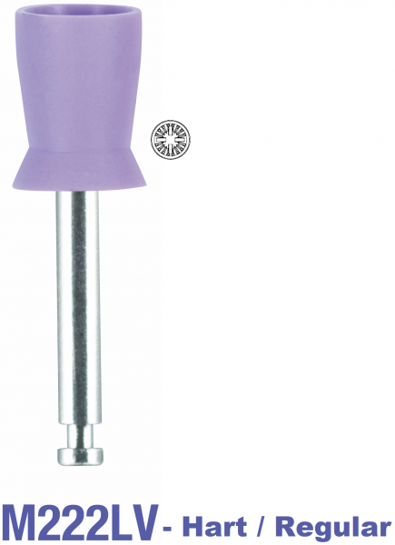 Prophy Cups Hart / Regular