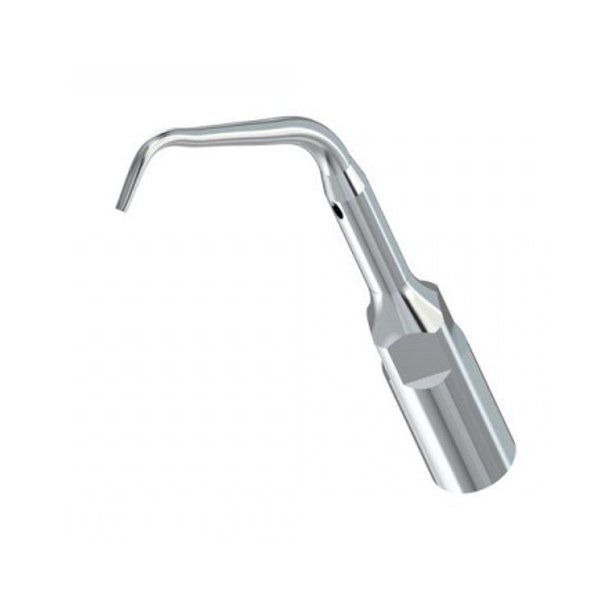 ED11 Endo Spitze