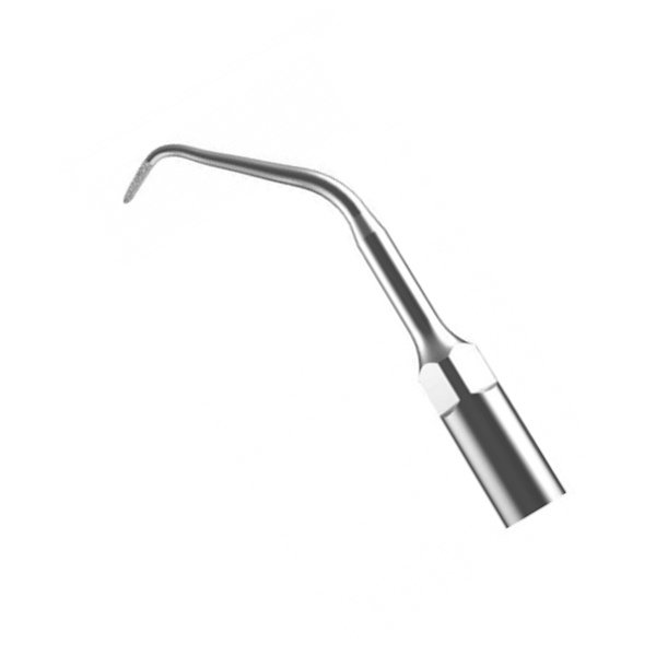 E11D Endo Spitze