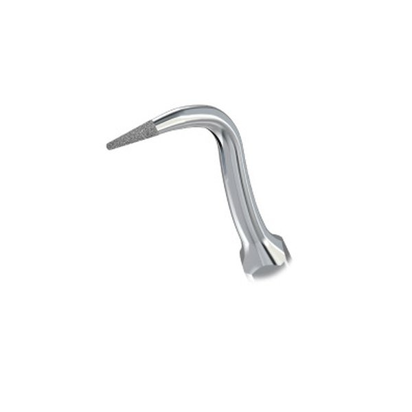 PS4D Endo Spitze Form