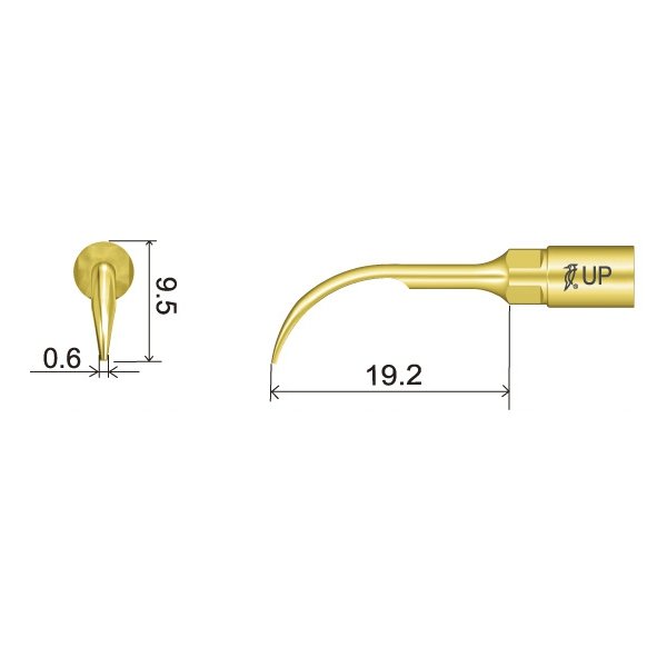 UP1 Perio Spitze technische Abmessung
